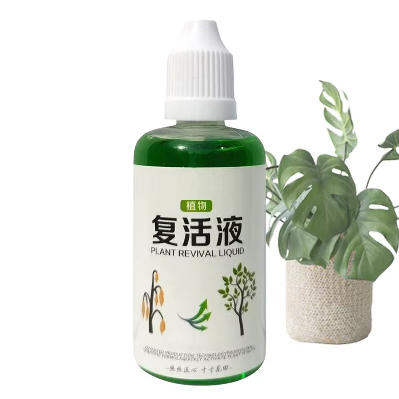 Agent d'enracinement succulent 50ml, engrais nutritif pour racines, Solution de croissance naturelle