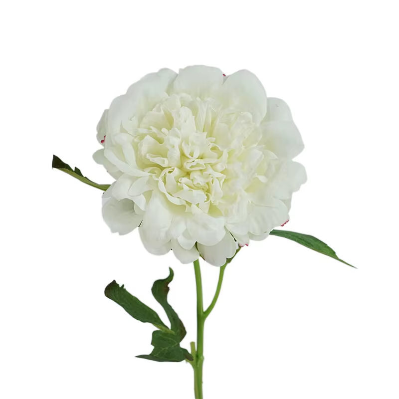 Fleurs de pivoines artificielles hydratantes au toucher réel, décoration d'intérieur, bouquet de mar
