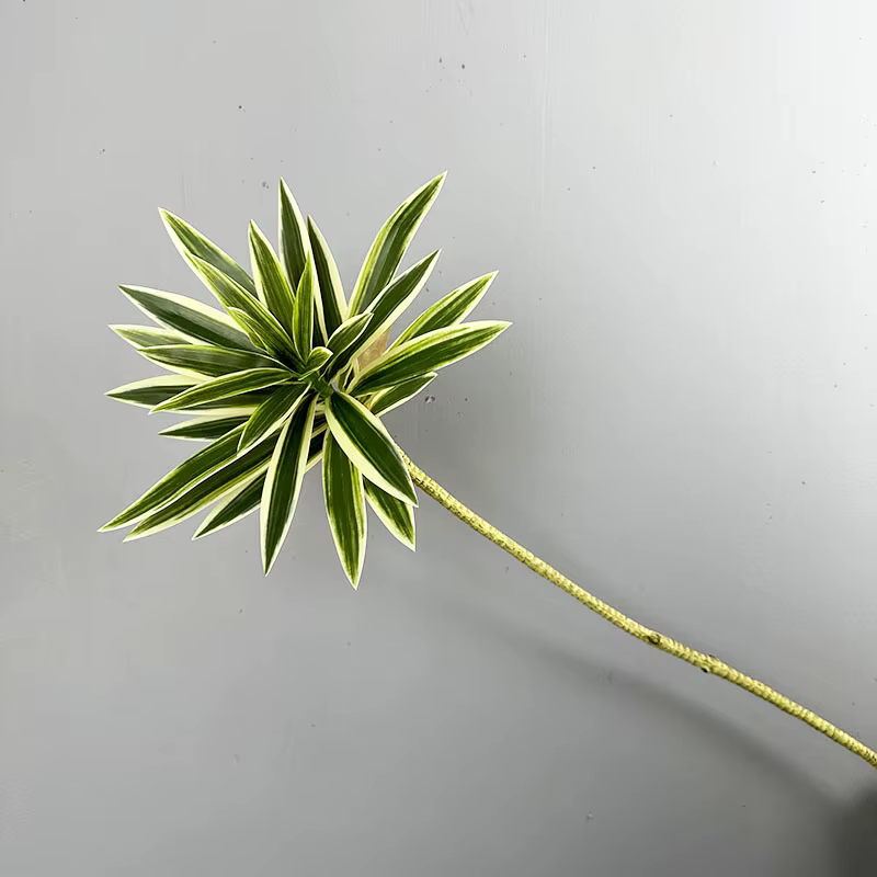 Plantes artificielles en bambou, lys artificiels au toucher réel, pour la maison, mariage, décoratio