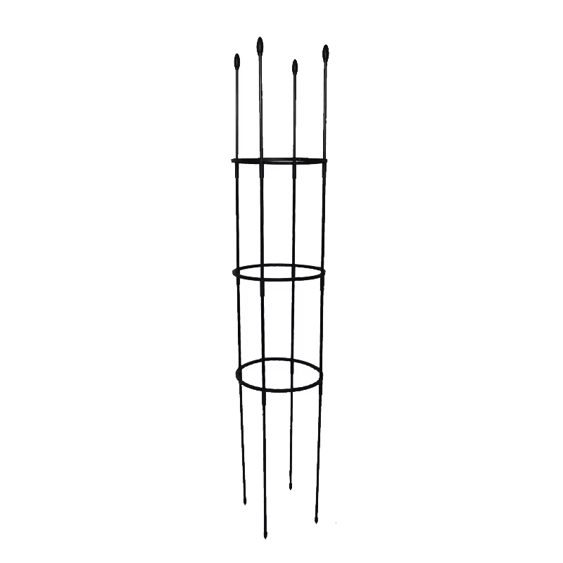 Cages de Support pour Plantes Grimpantes, Piquets de Jardin, Vigne, Tomates, Fournitures de Jardin e