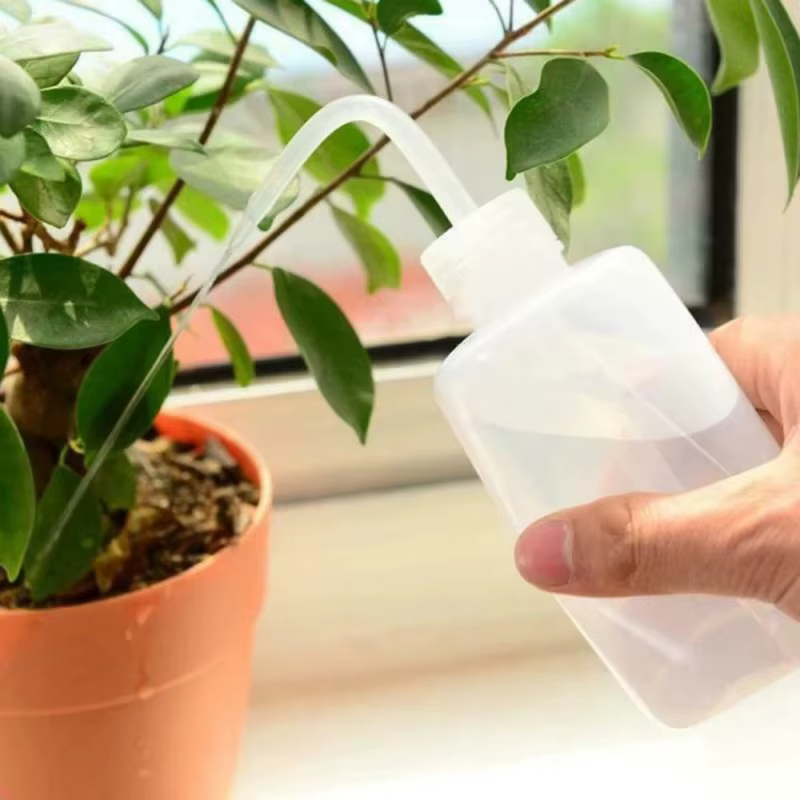 Arrosoir bonsaï pour plantes succulentes, 250/ 500ml, outil de jardinage à bec long