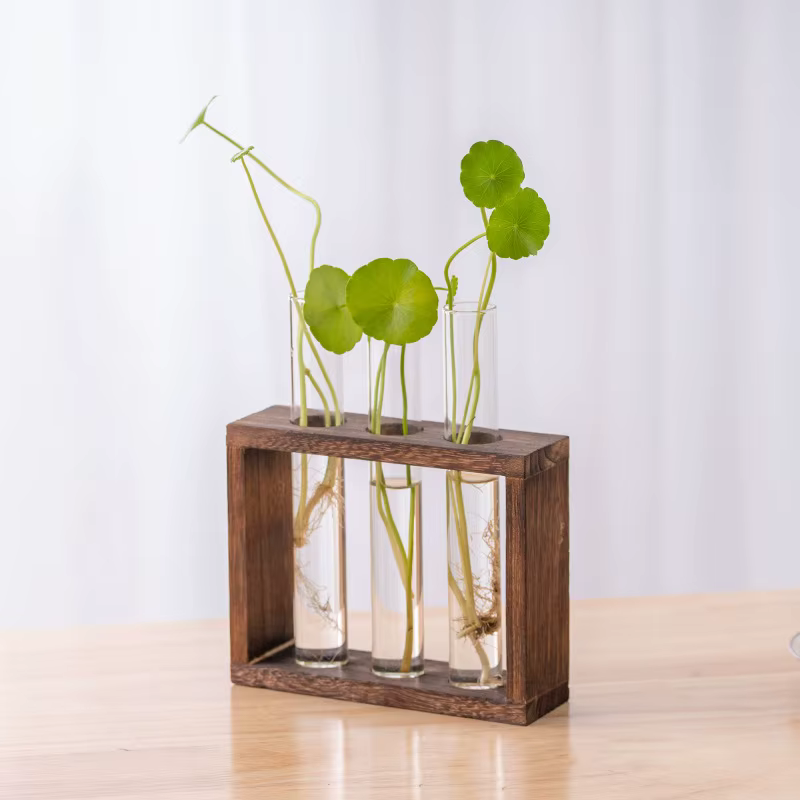 Conteneur de plantes hydroponiques avec cadre en bois, Tube à essai en verre Transparent, Pot de fle