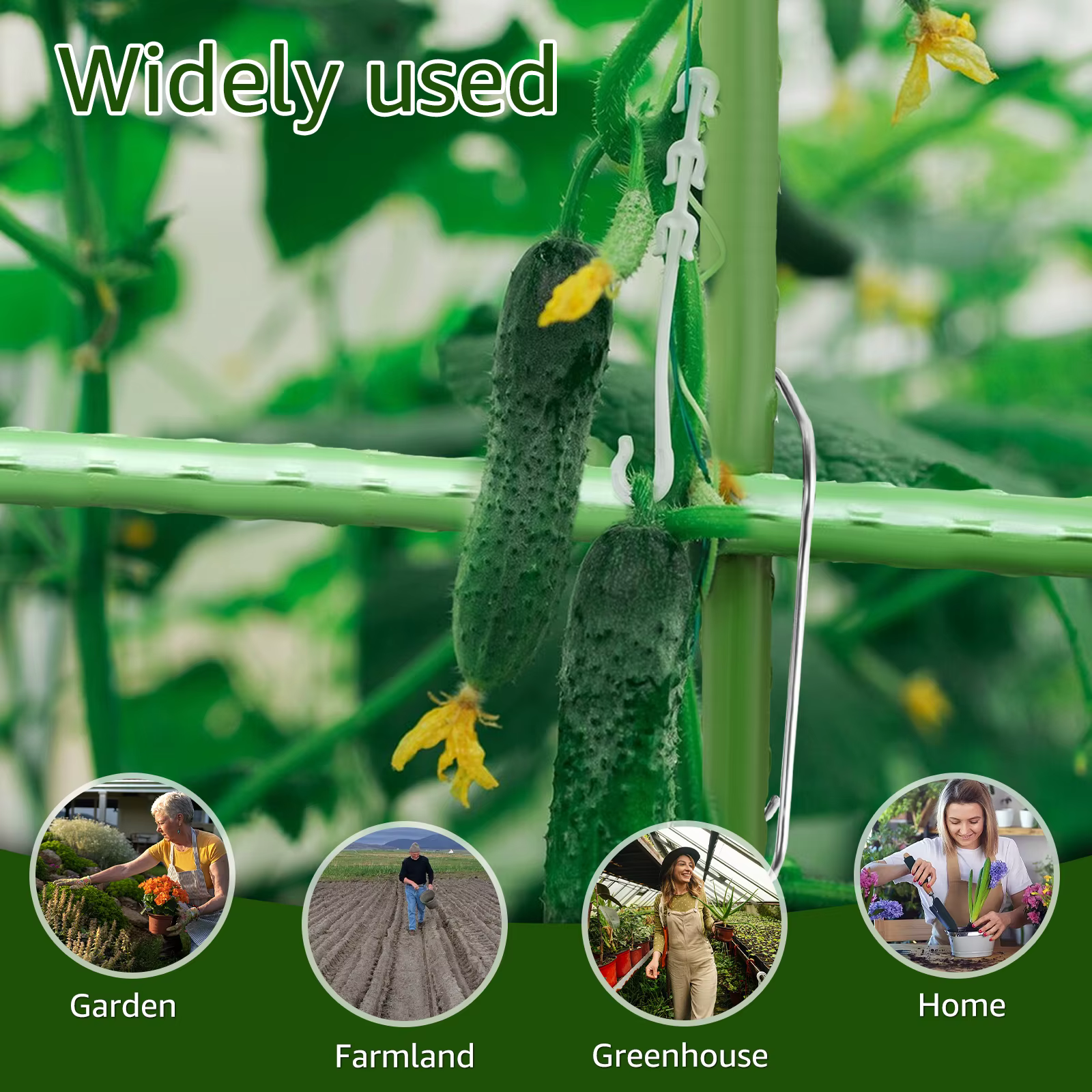 Boucles de connexion en treillis pour plantes, 50 pièces, Support de tuyau d'escalade, outil de fixa