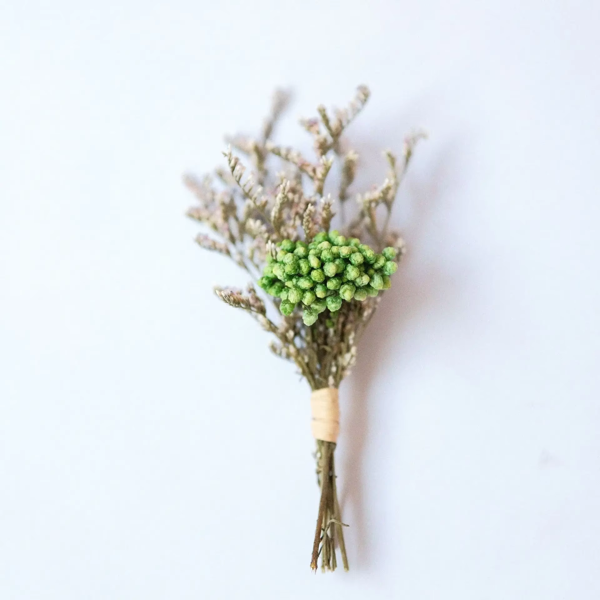 Kit de fleurs séchées DIY, bouquet de fleurs séchées vibrantes, carte de vœux décorative, bouquet éc