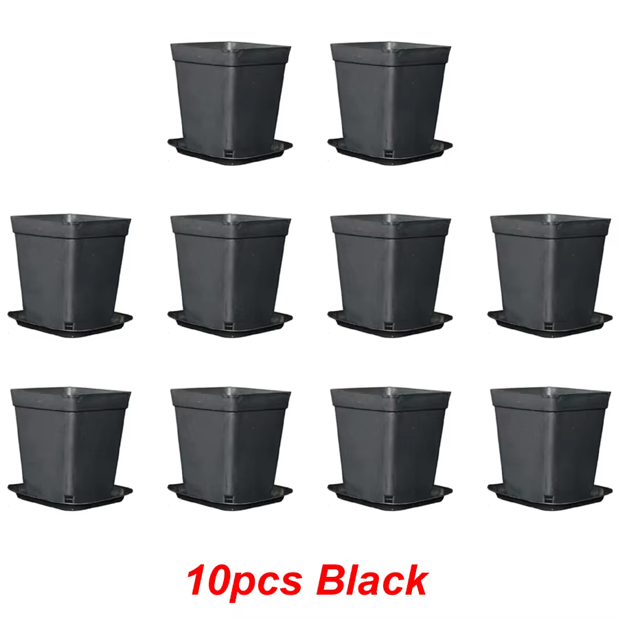 Pots de plantes à fleurs carrés noirs de 7cm, 10 pièces, avec plateau, plantes succulentes, Pot de p
