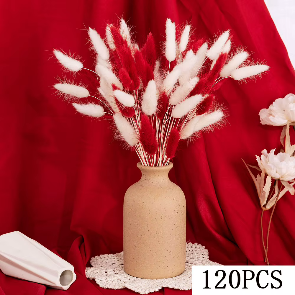 Bouquet de fleurs séchées Melaleuca Bracteata, herbe de Pampas blanche et rouge, décoration florale 