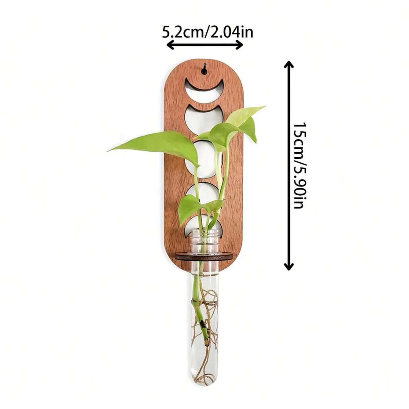 Station de Propagation des plantes, Terrarium mural en bois pour plantes, Phase de lune, pour cultur