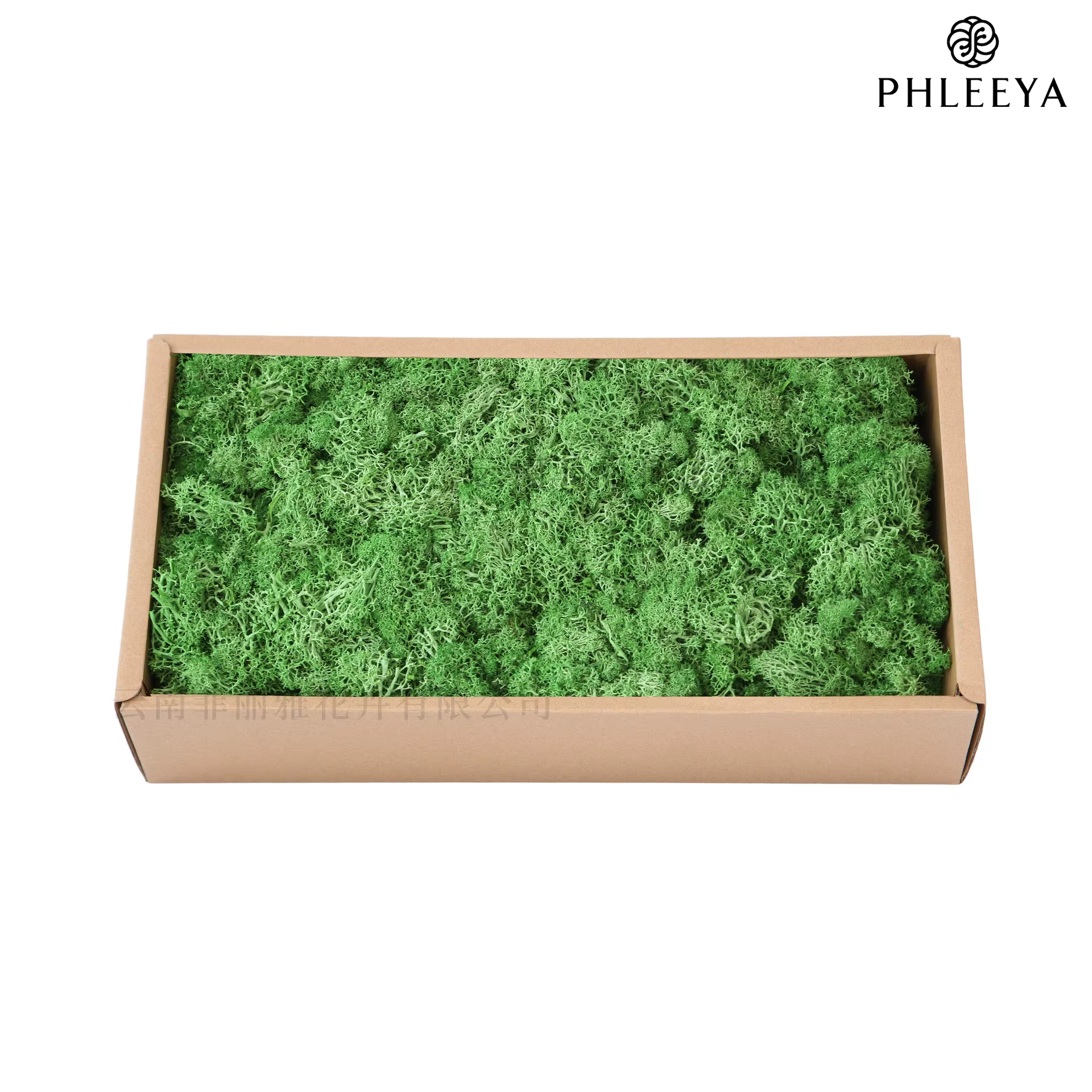 Plante verte artificielle, fausse fleur immortelle, herbe de mousse pour la maison, salon, mur décor