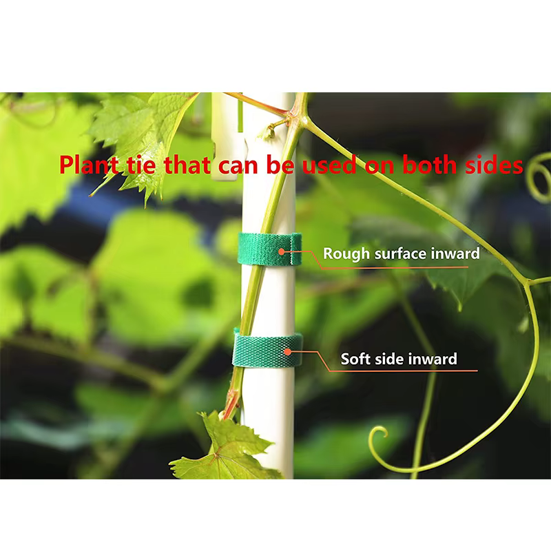 3 rouleaux de ficelle de jardin verte, attaches pour plantes, Bandage pour plantes en Nylon, boucle