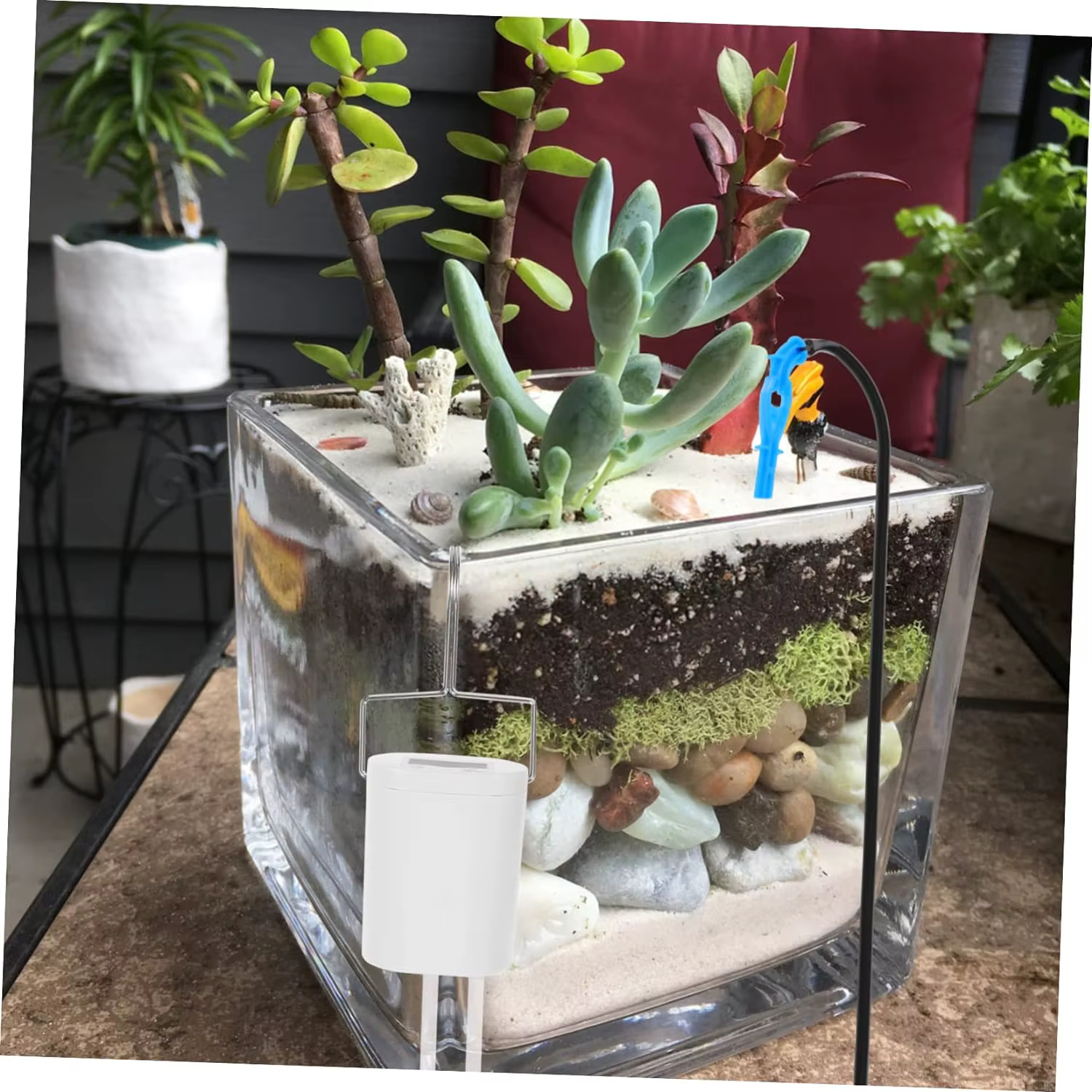 Pompe d'arrosage automatique pour plantes et fleurs, dispositif d'irrigation goutte-à-goutte pour la