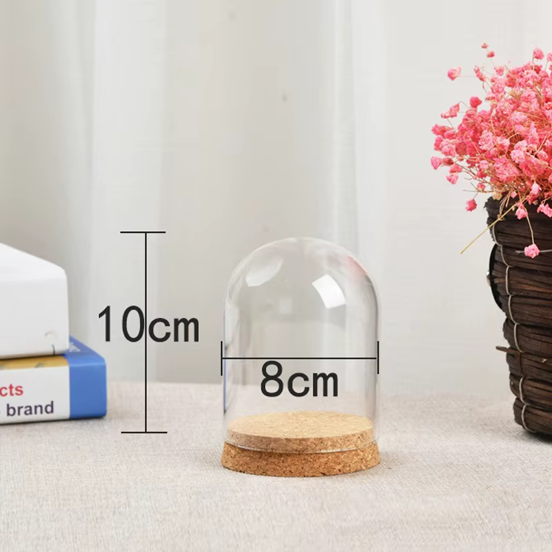 Couvercle de dôme en verre pour plantes succulentes, bricolage, anti-poussière, bouteille transparen