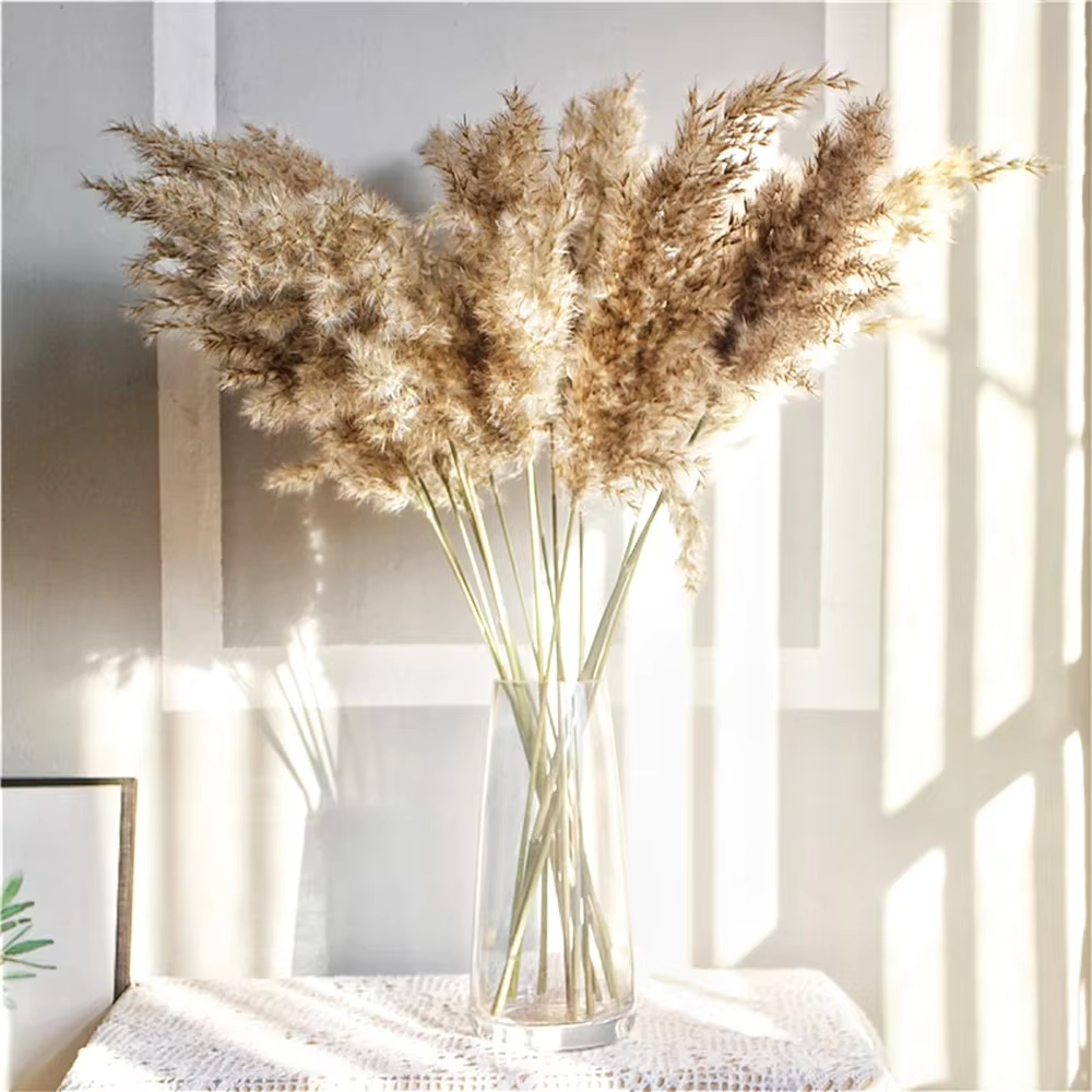 Grand bouquet de fleurs séchées d'herbe de la pampa naturelle, style bohème vintage, pour cérémonie 