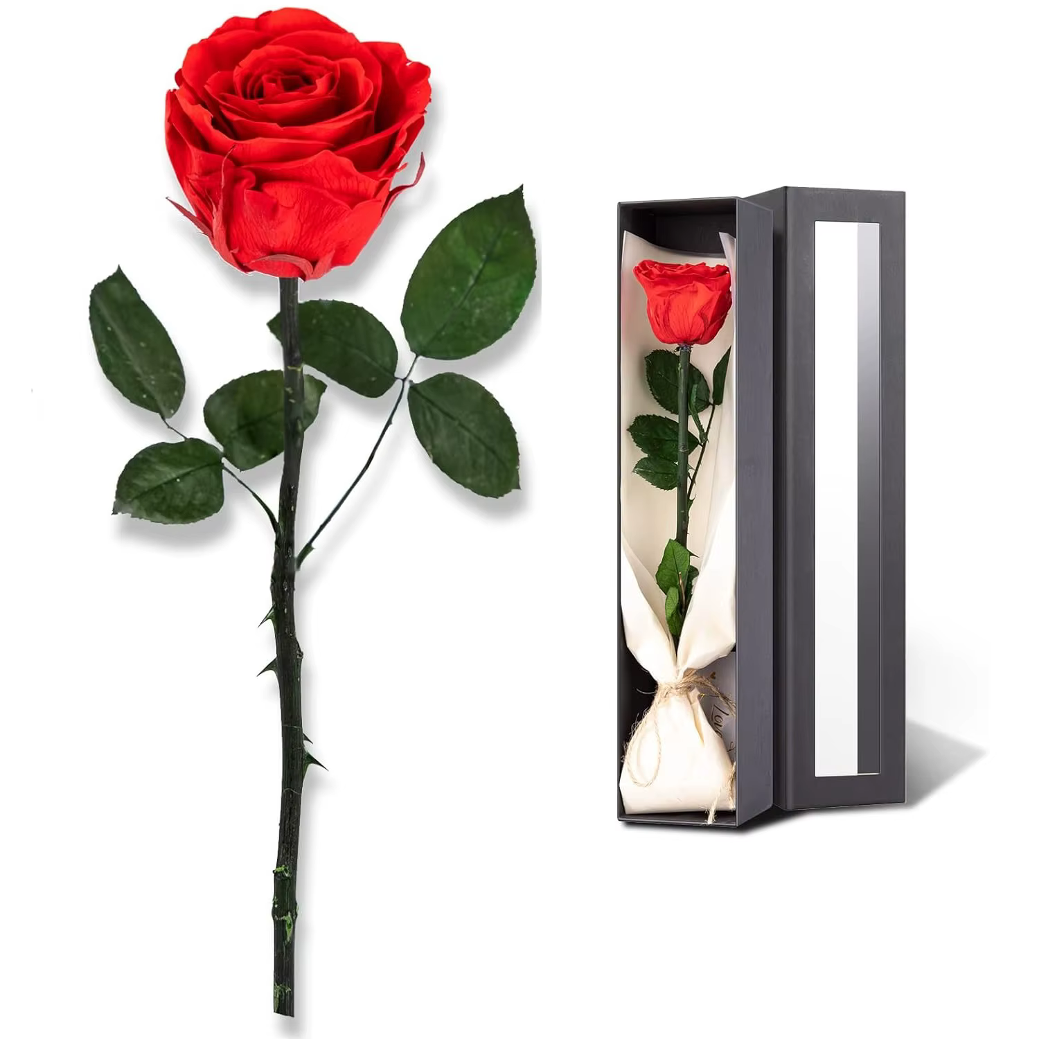 Rose éternelle préservée pour femme, rose unique en tige, cadeau pour elle, cadeaux d'anniversaire p