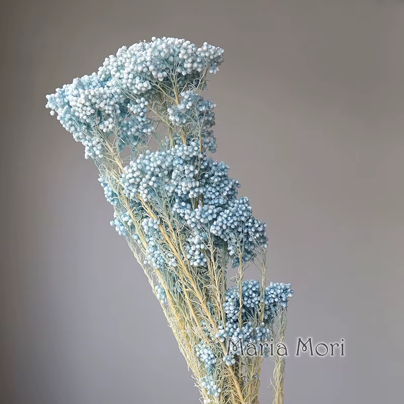 Fleurs séchées conservées de Style nordique, 40g, véritable fleur de Millet florale naturelle pour l