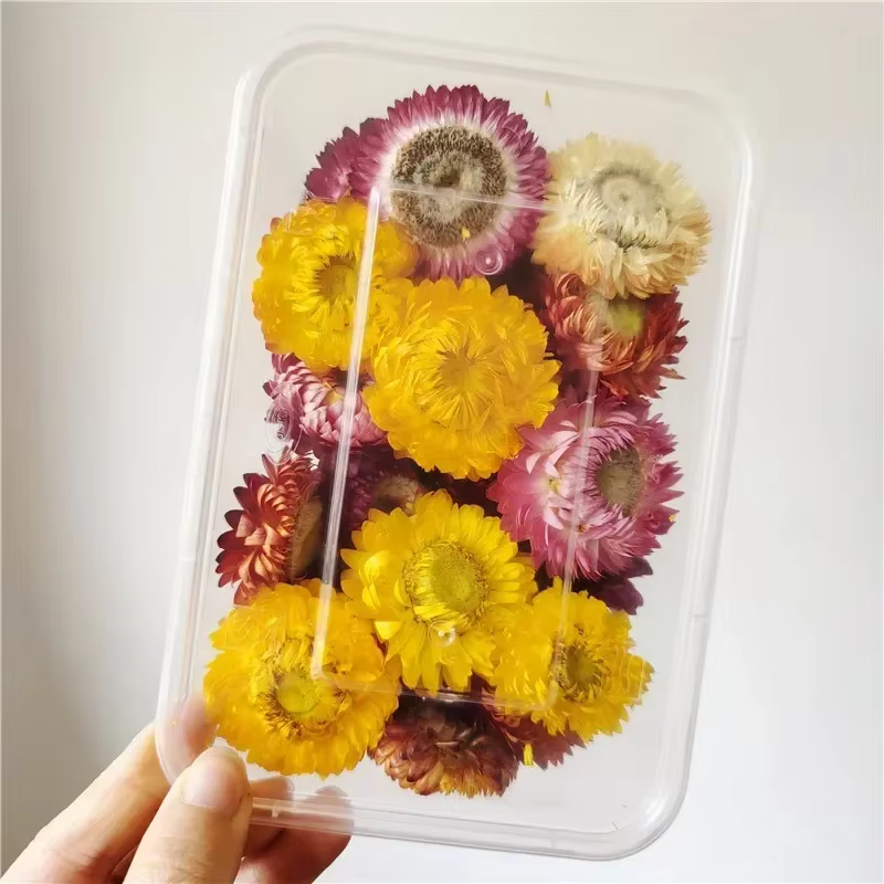 Plantes artificielles naturelles, 1 boîte de vraies fleurs séchées pour bougies, moule en résine épo