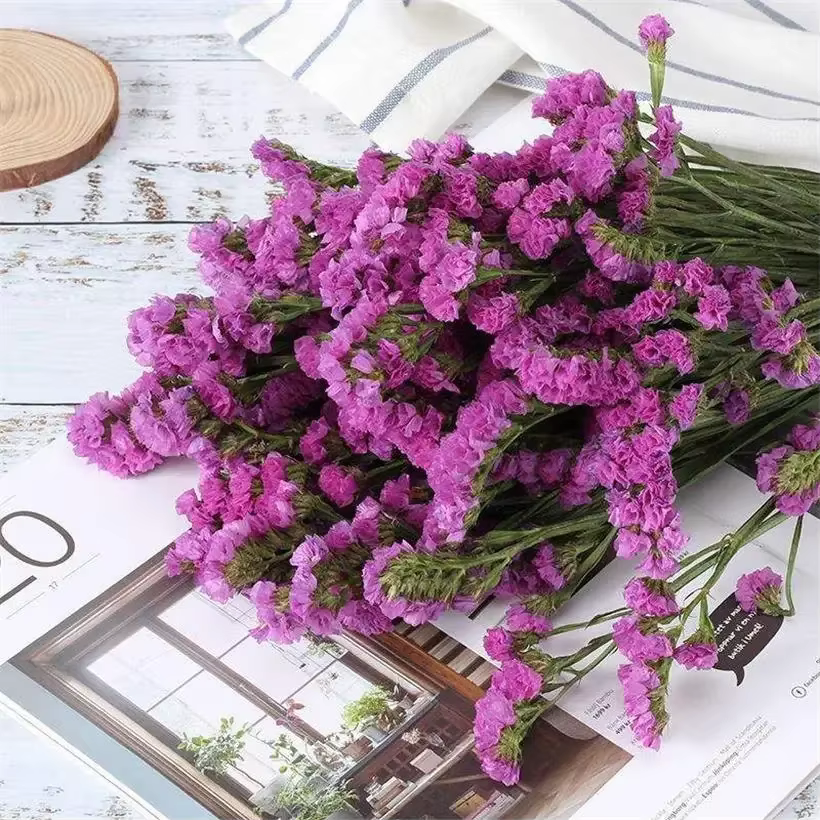 Fleurs éternelles séchées mélangées pour la décoration de la maison et de la chambre, souvenirs de m