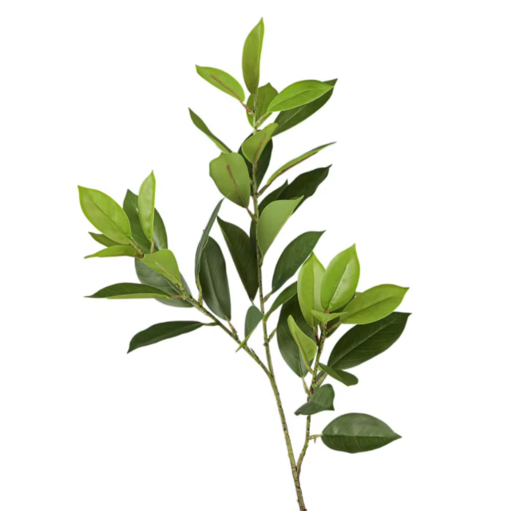 Grandes Branches Artificielles de Fagraea, Toucher Réel, Ilex Chinensis Artificiel Réaliste, Plantes