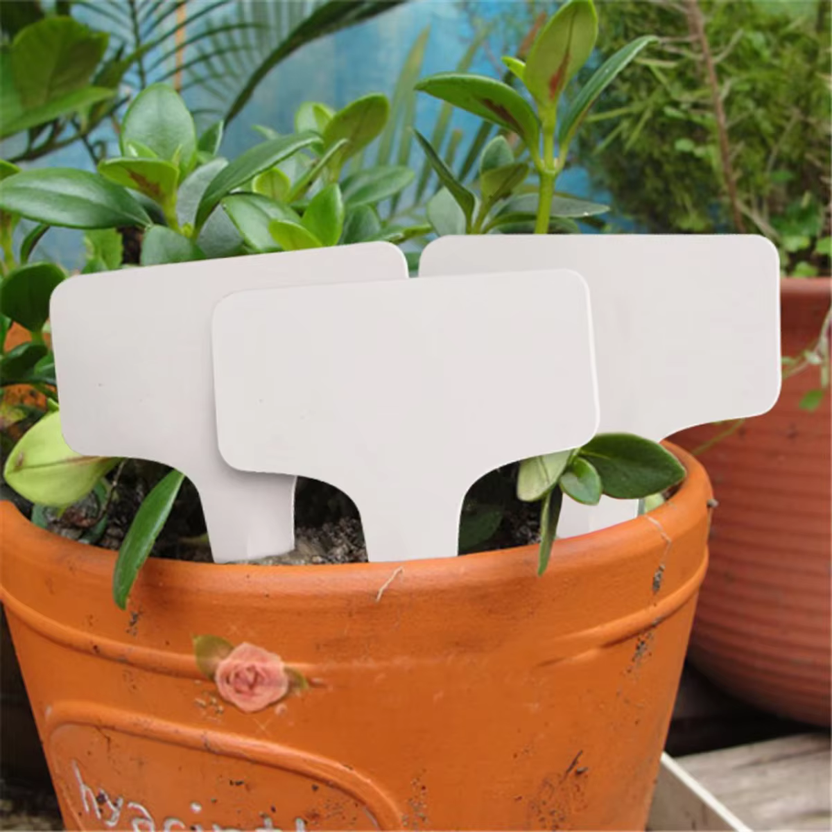 Marqueurs d'étiquettes de plantes de Type T, 50/100 pièces, étanches, PVC, Classification des plante