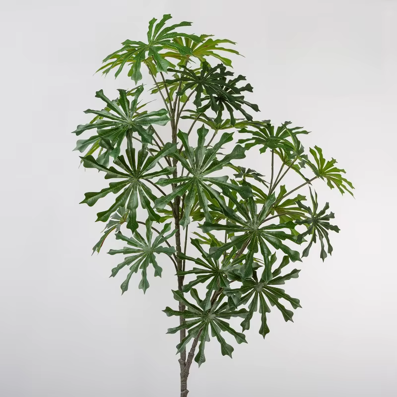 Plantes vertes artificielles en plastique, feuilles d'Andromède japonaise, feuilles d'arbre à monnai
