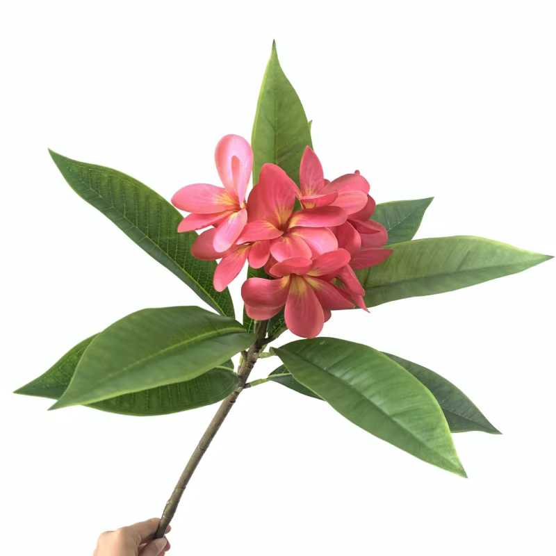 Impression 3D Main Sensation Frangipanier Fleurs Branche, Mariage, Salon, Vase De Table, Décoration 