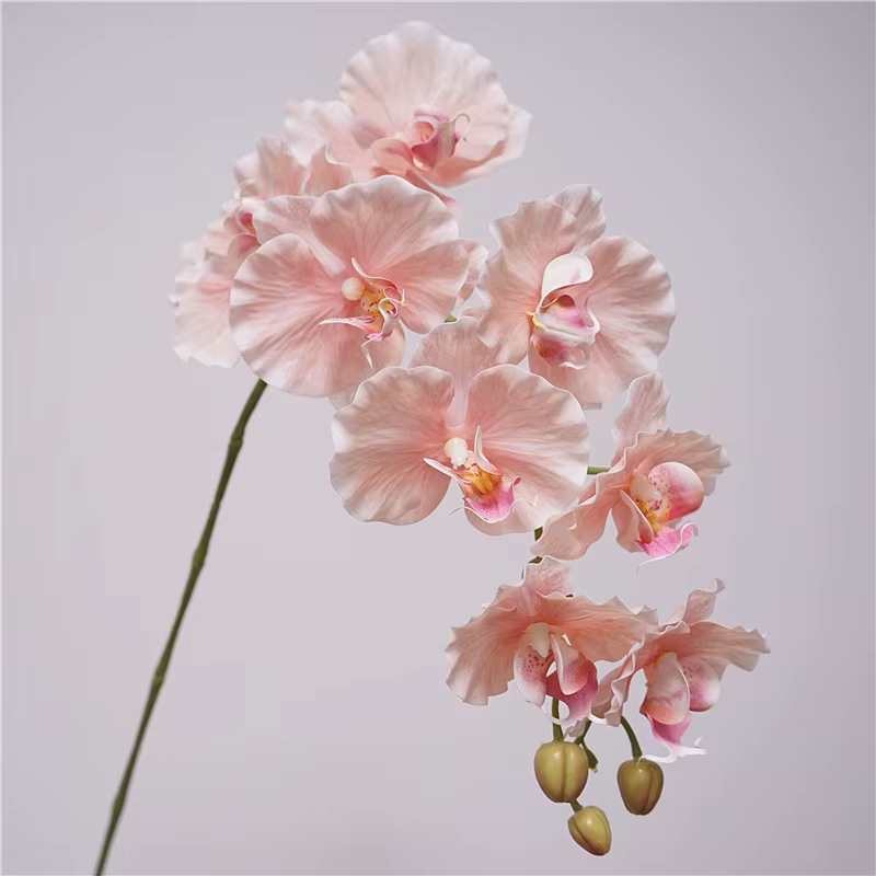 Bouquet de 9 orchidées papillon en latex, fleurs artificielles au toucher réel, pour mariage, fête, 