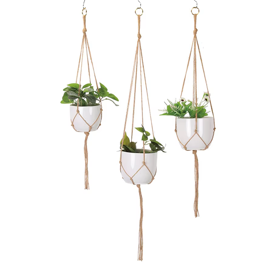 Plante cintre corde après balcon accessoires suspendus parterre de fleurs Pot décorations de jardin