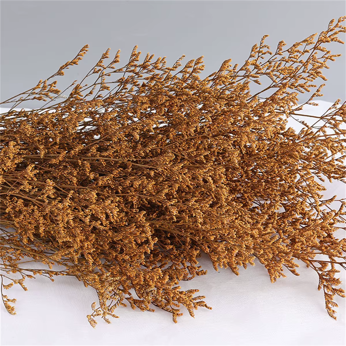 Limonium naturel séché pour les amoureux, véritable aide aux phtalfleurs, décoration de mariage, mai