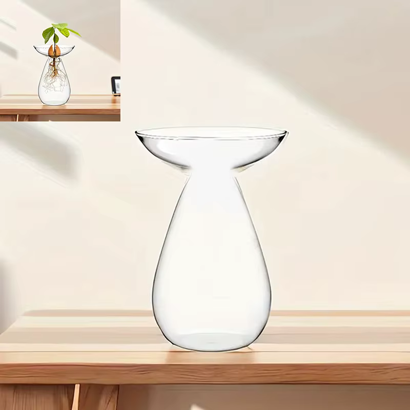 Vase hydroponique transparent coloré pour avocat, vase en verre pour semis d'avocat, kit de culture 