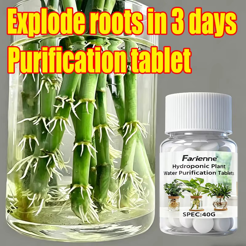 Farienne 100 comprimés de purification d'eau pour plantes hydroponiques 40G - Activateur de racines 