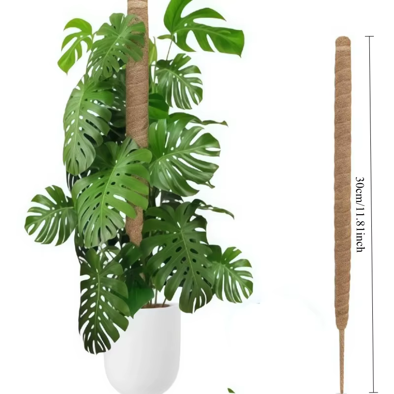 Poteau en mousse flexible pour plantes, en fibre de coco, support pour Monstera, fait main, accessoi