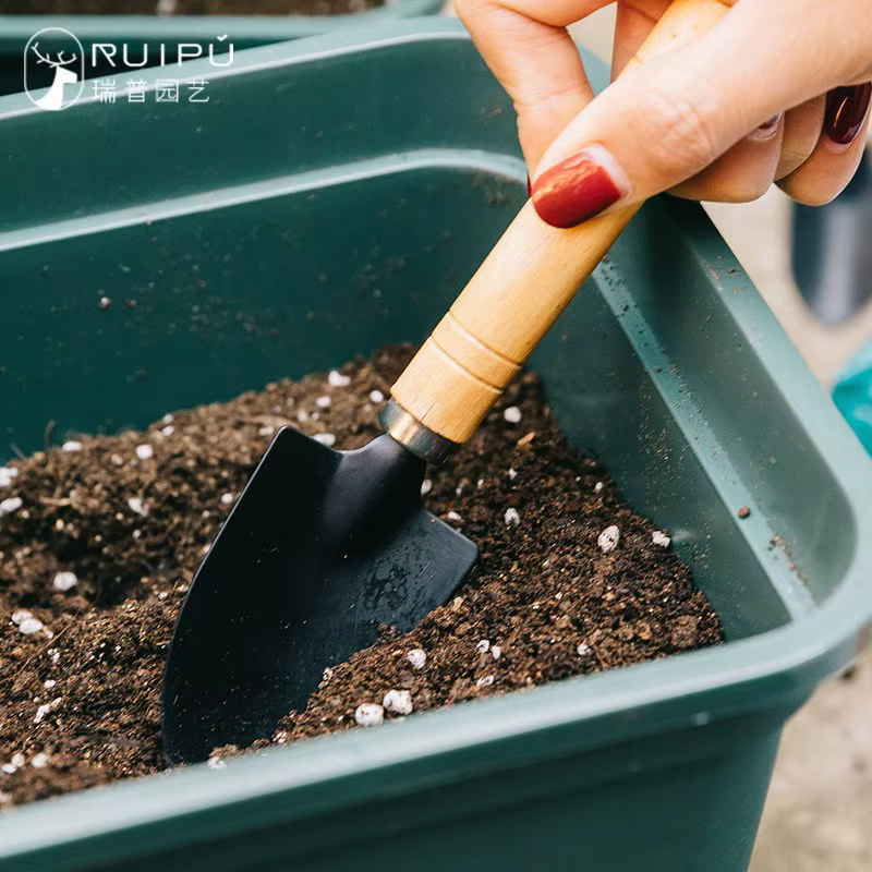 Mini ensemble d'outils de jardin pour plantes de jardin, pot de fleur, outils de jardin, creusement,