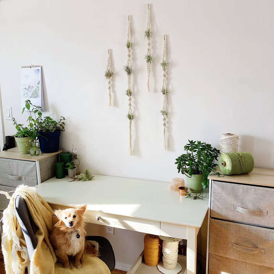 Cintre pour plantes à Air en macramé, support suspendu pour plantes aériennes, affichage d'ananas, j