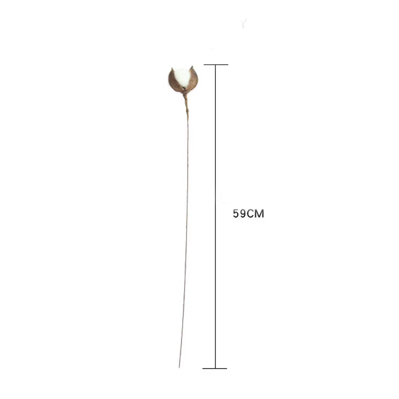 Fleurs de coton séchées naturellement, branche de fleur artificielle blanche, ornement de maison, Bo