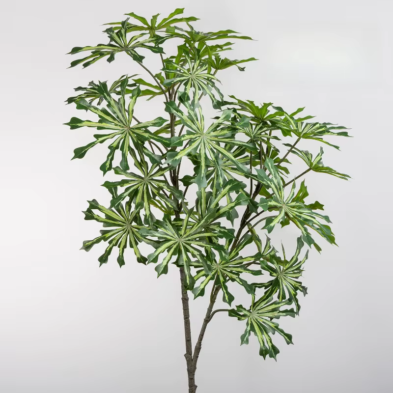 Feuilles de Manioc Artificielles, Plantes en Plastique, Simulation d'Arbre à Monnaie, Feuilles de Pl
