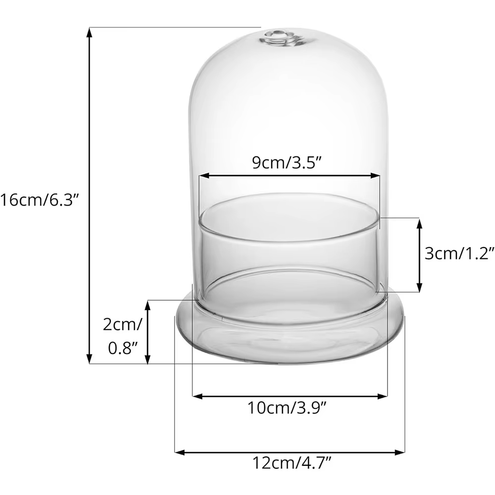 Cloche en verre avec trou d'aération, cloche en verre avec base, présentoir de table pour la maison,