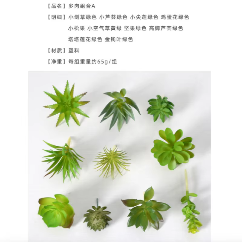 Plantes succulentes en PVC, fausses plantes succulentes vertes pour la maison, le jardin, petit bons