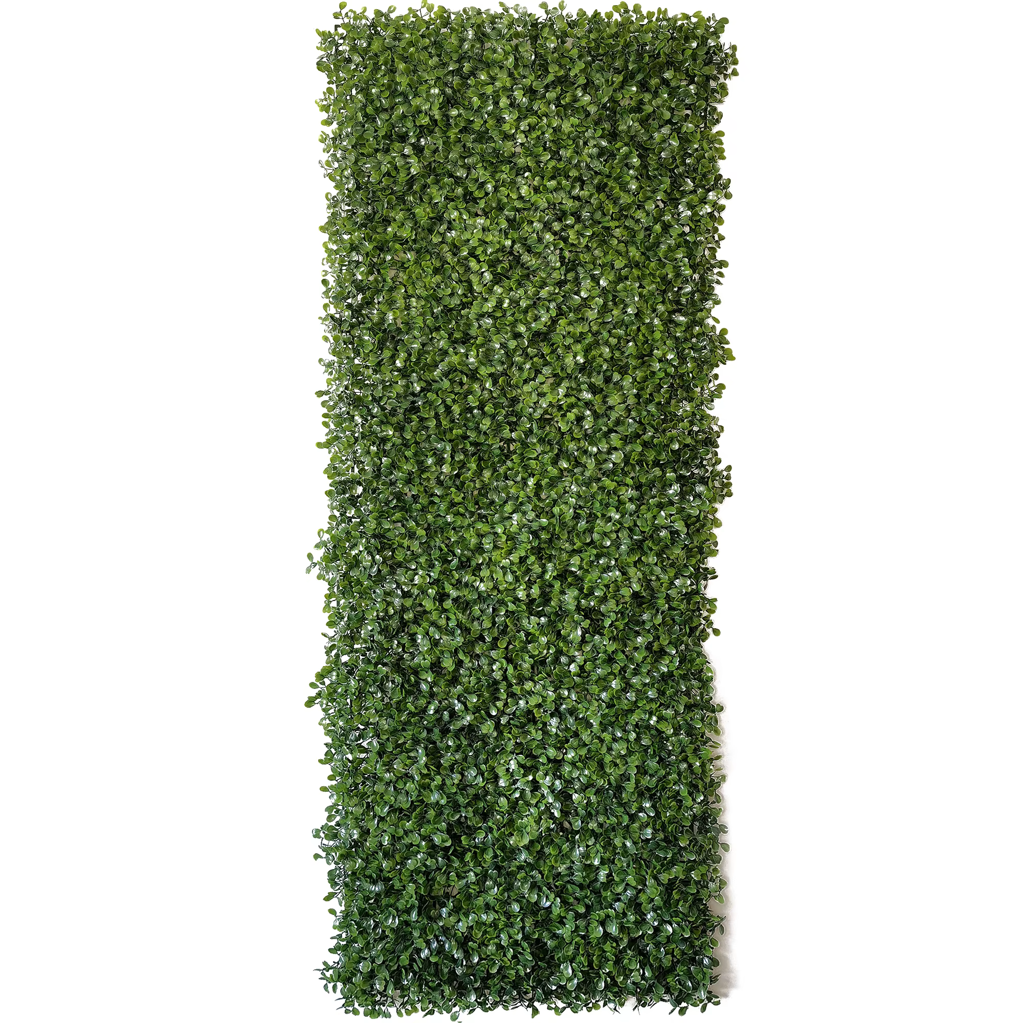 Plante artificielle 40x120cm, décoration murale, Simulation d'herbe de Chlorophytum Comosum, clôture