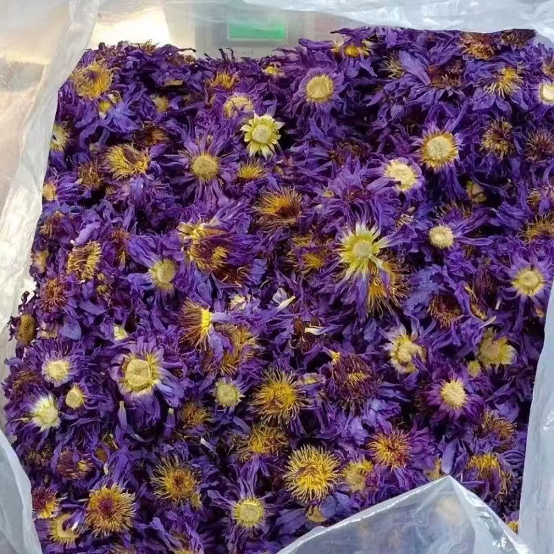 100g de fleurs séchées parfumées de lotus naturel de haute qualité, décoration de mariage, pot-pourr