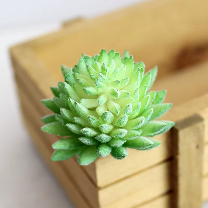 Plante succulente artificielle en plastique, Cactus texturé réaliste, Mini fausses plantes succulent