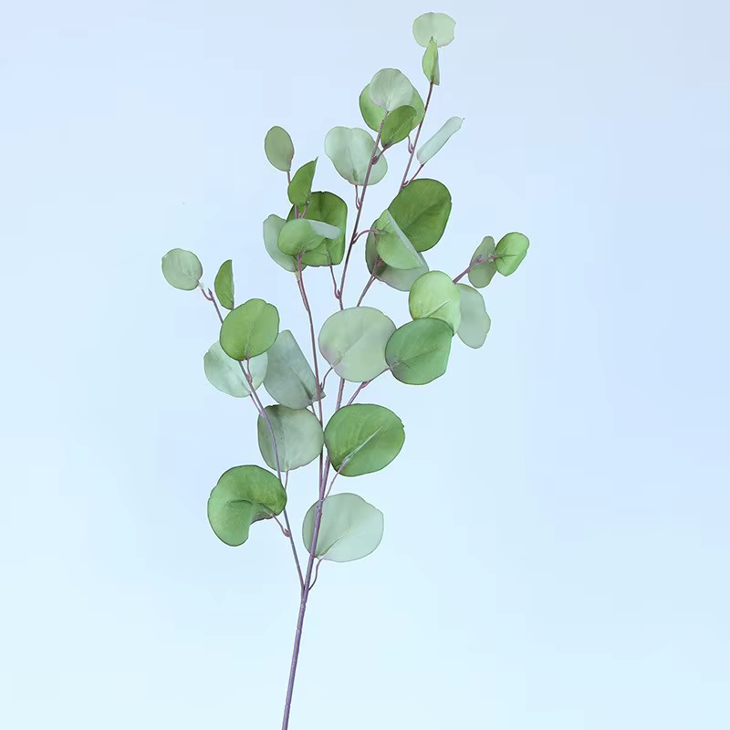 Plantes artificielles de cuir chevelu d'eucalyptus rose, fausses fleurs, argent mural, accessoires d
