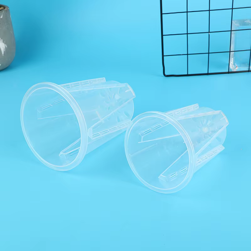 Pot de plante en plastique transparent, porte-fleur cylindrique, plan végétal durable, anti-déformat
