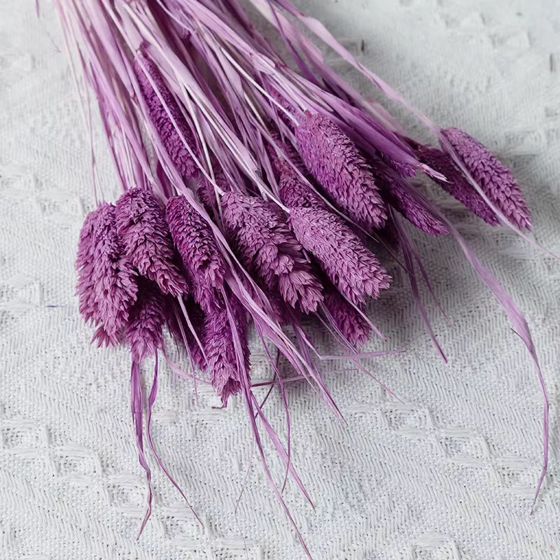 Bijoux de fleurs séchées pour la décoration de la maison, bouquets de pierres précieuses, vraie plan