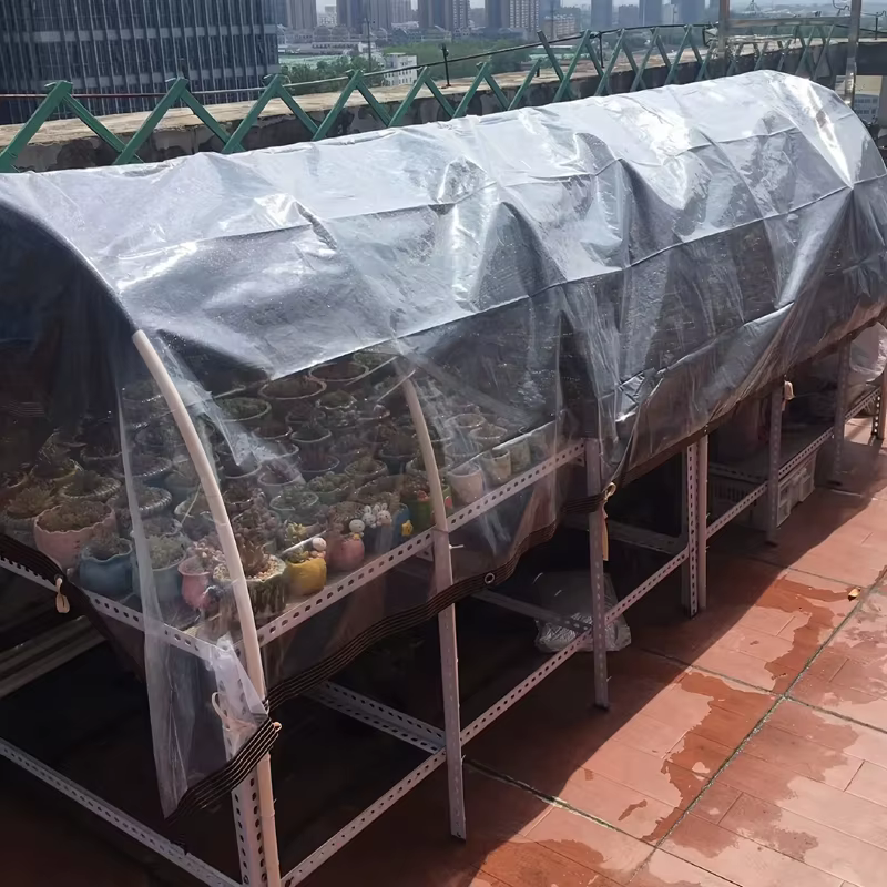 Bâche transparente en Film PE pour balcon, couverture pour plantes succulentes, tente Gazebo, auvent