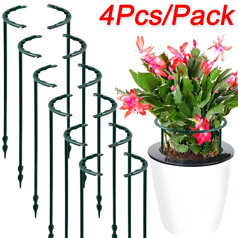 Support pour plantes épissées, 2 tailles, support pour orchidées monocouche, multi-viande, Support p