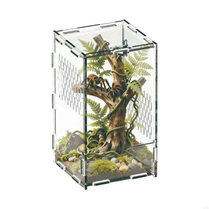 Boîte d'élevage Terrarium pour petits Reptiles, ouverte à l avec fenêtre vue transparente trous Vent