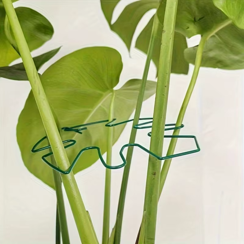 Grand support pour plantes suspendues, crochets en fer, adapté à la décoration de pots de fleurs, à 