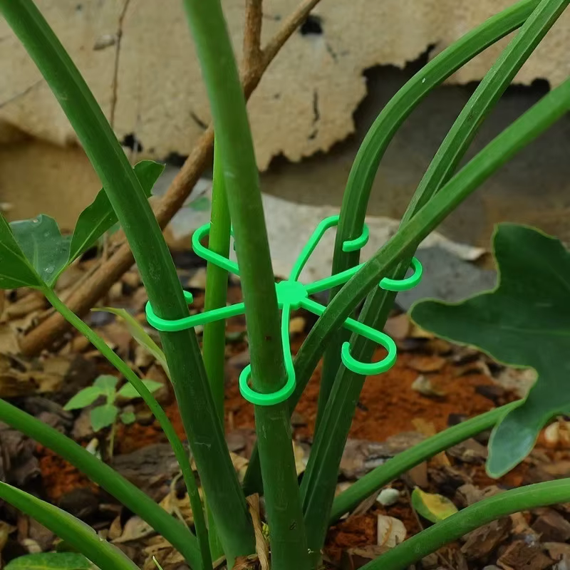 Clips de Support de tige de plante, cadre de collecte de tige de fleur, fixateur de Support-Anti-ren