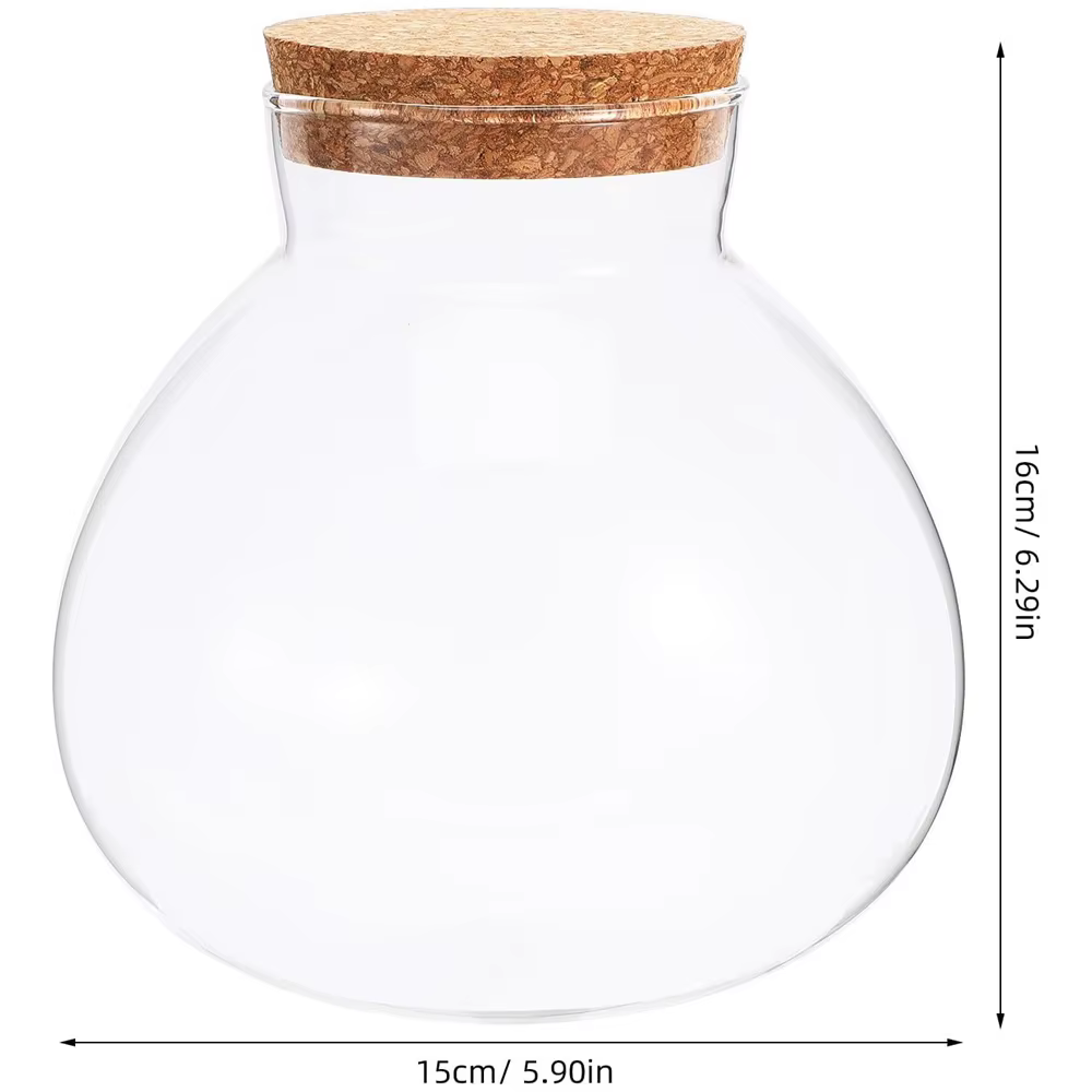 Terrarium en verre avec couvercle en liège, 6x6,3 pouces, terrarium fermé pour plantes succulentes, 