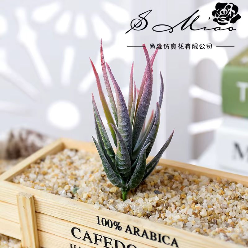 Wusmart Ban Ma Lu Hui plantes succulentes artificielles bricolage accessoires d'arrangement floral b
