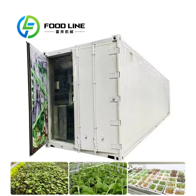 Système hydroponique vertical EBB pour la culture de légumes à feuilles, bac de culture pour plantes